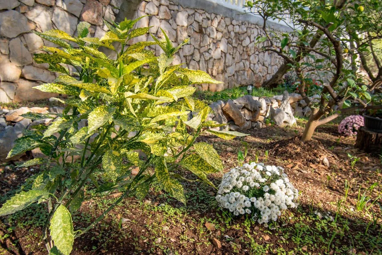 Apartmán Villa Mira Trogir